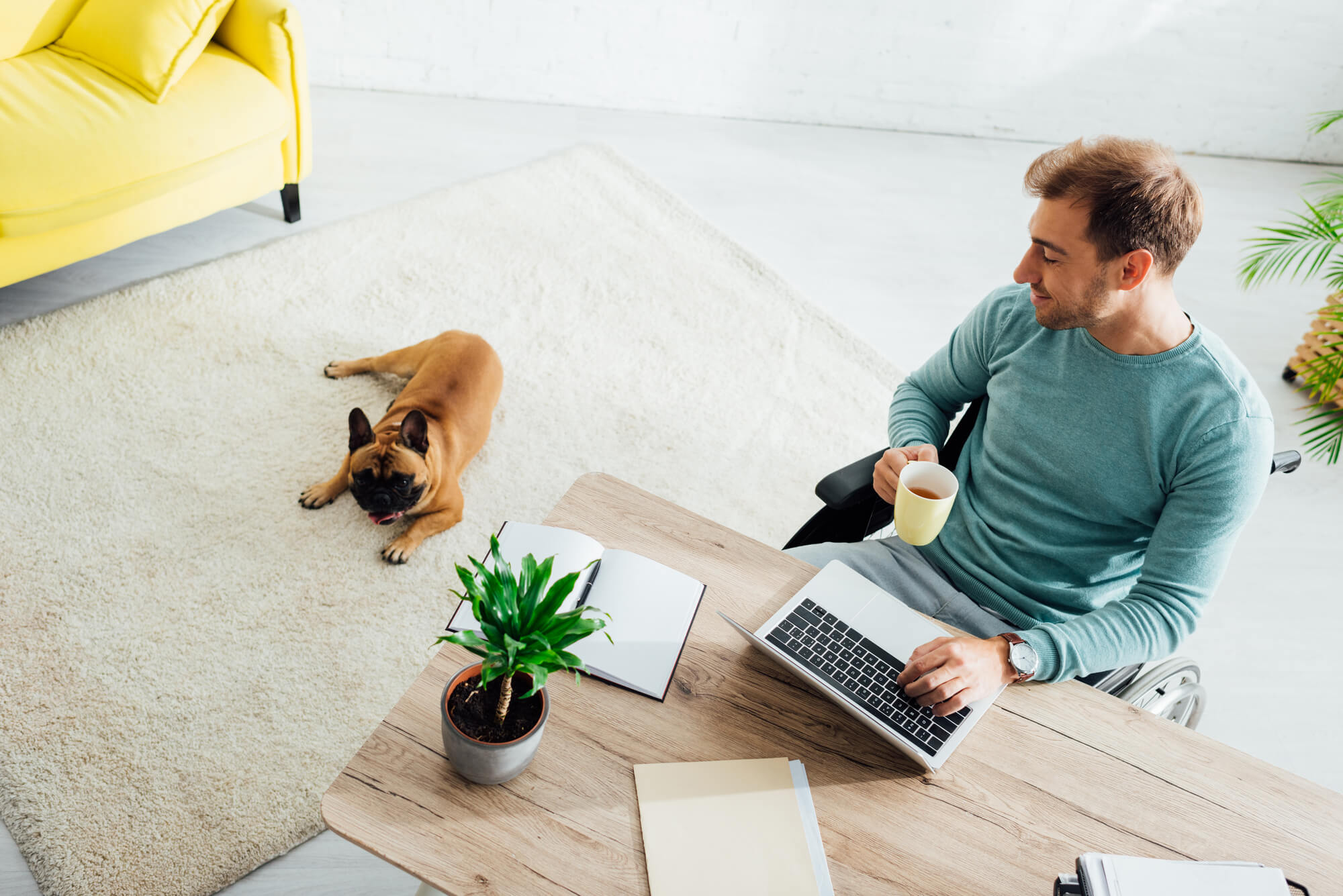 man with a dog on the floor working in the living room
