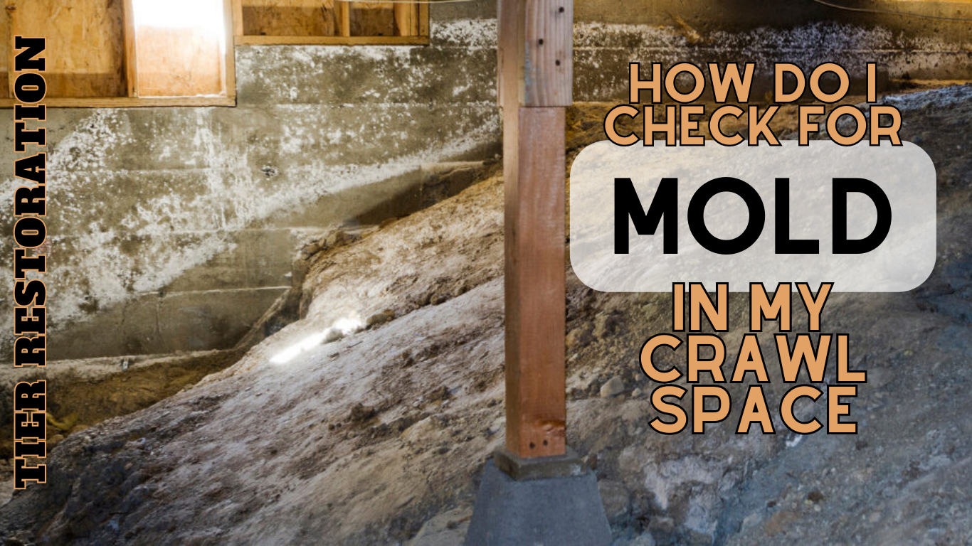 how do I check for mold in my crawl space?