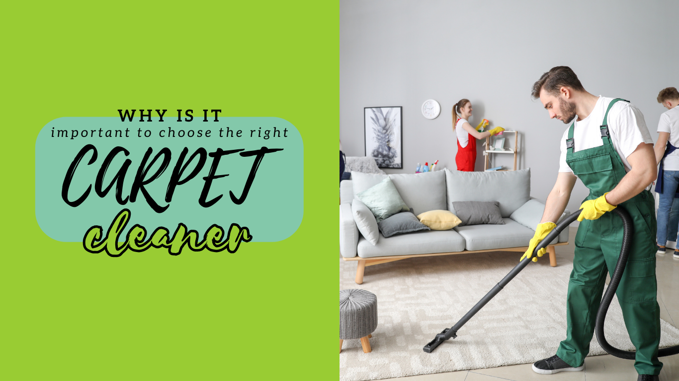 ANSWERED: How Often Should You Clean Your Carpets