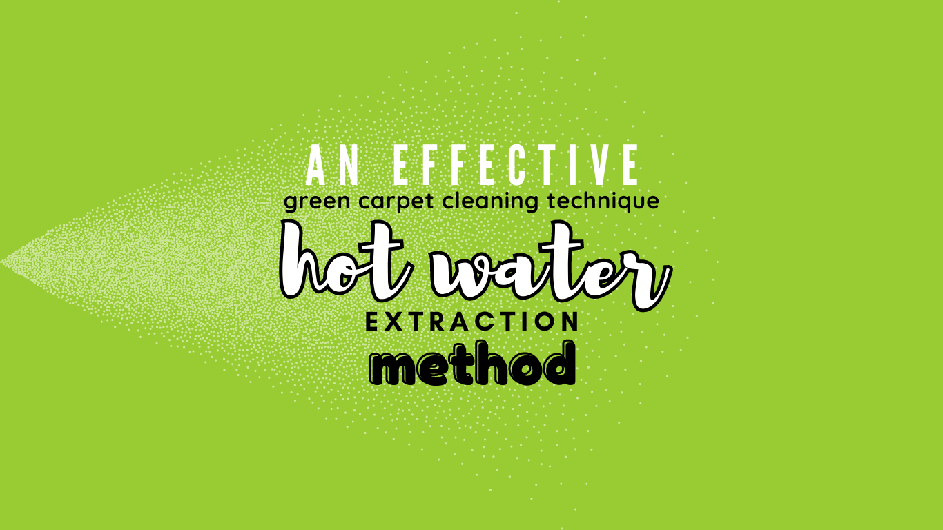 Picture of Green Carpet Cleaning Methods: The Eco-Friendly Solution! (2023)