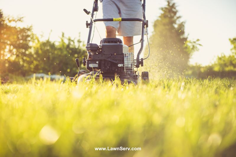 Do it yourself Lawn Treatment - Step-by-step guide on how to do it yourself lawn care for beginners.