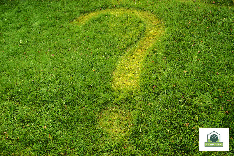 Lawn Mowing Tips