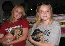 dachshund-puppies-with-kids