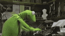 1690129388 kermit typing frantically typing