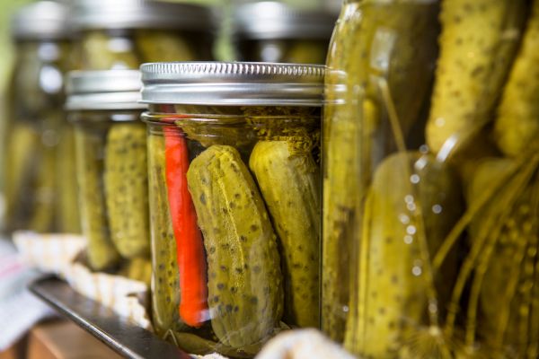 Can dogs eat pickles? Nope.