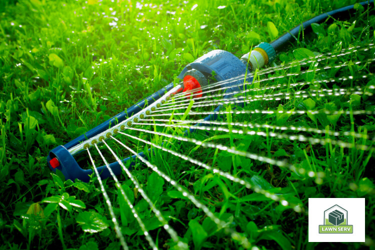 The best irrigation methods that result in a beautiful lawn