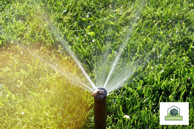 DIY Lawn Care Installing Lawn Sprinklers