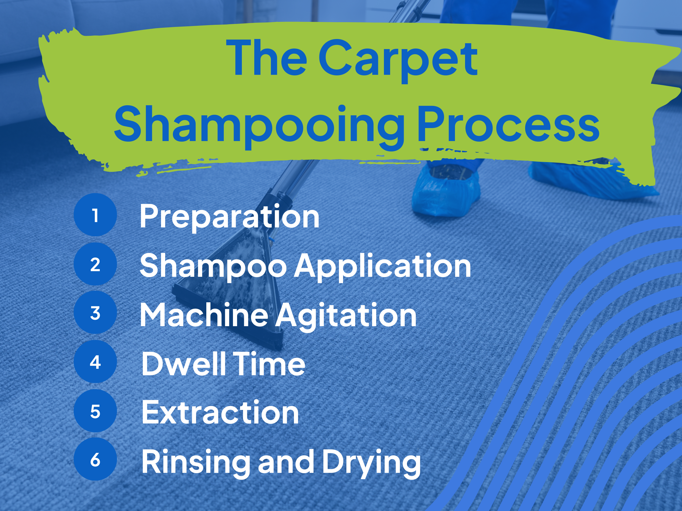 the-carpet-shampooing-process