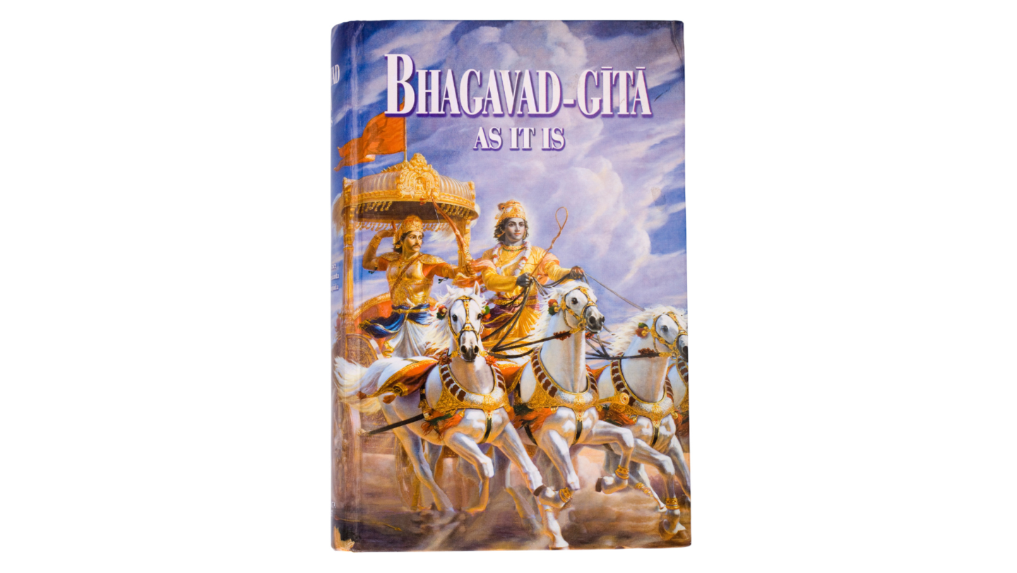 Bhagavad Gita Review, Book VI, human companion