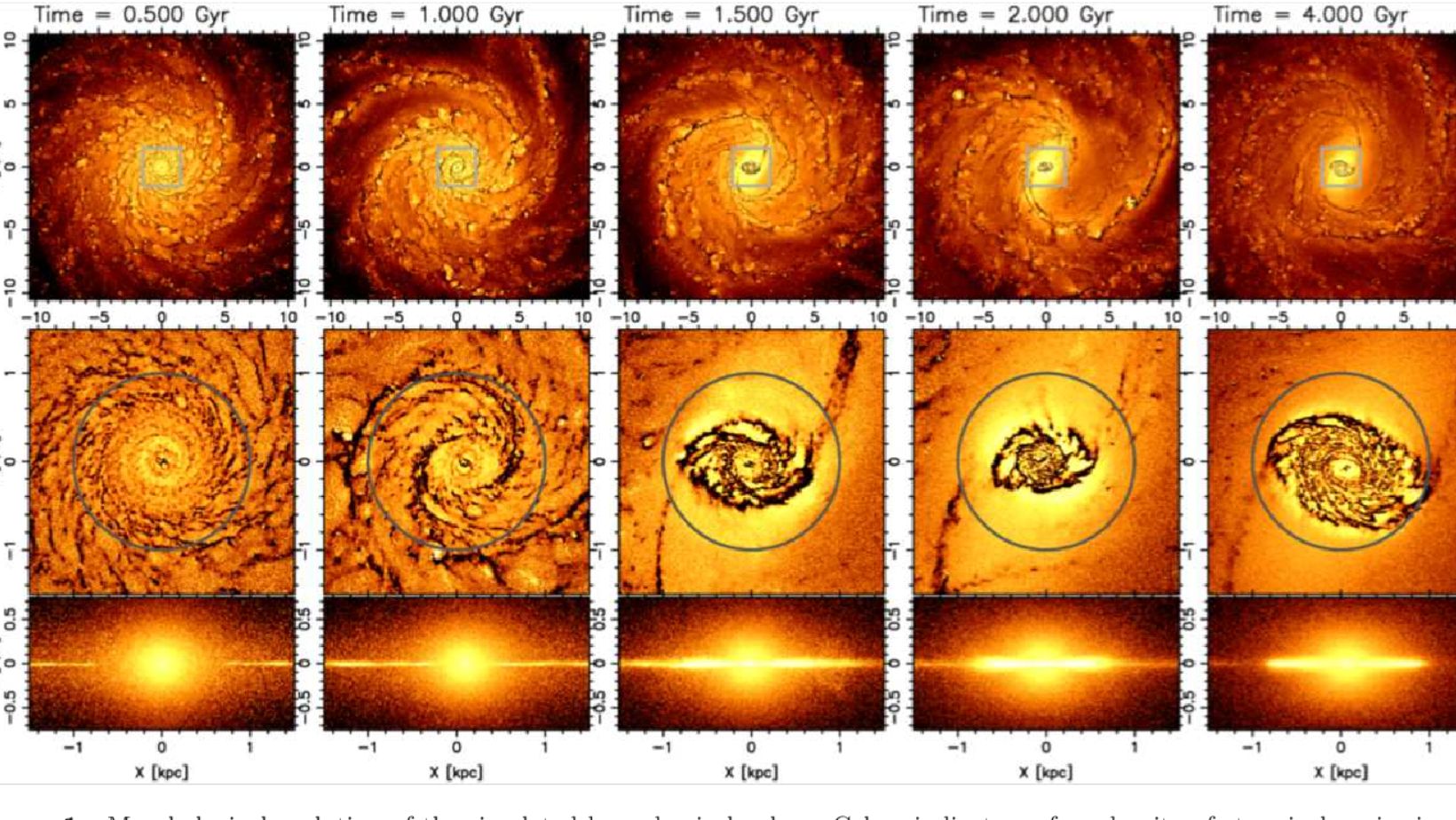 Why are there different types of galaxies