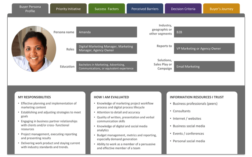 example of a B2B SaaS buyer persona