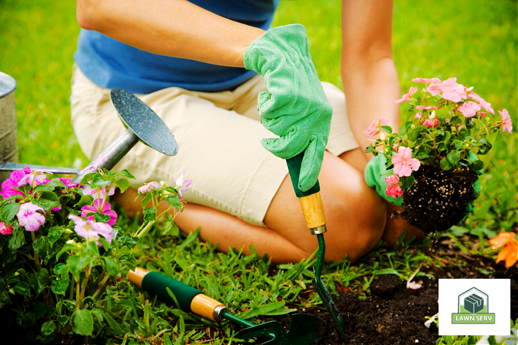 Image of a lawn owner wearing green gloves doing DIY Lawn Care...