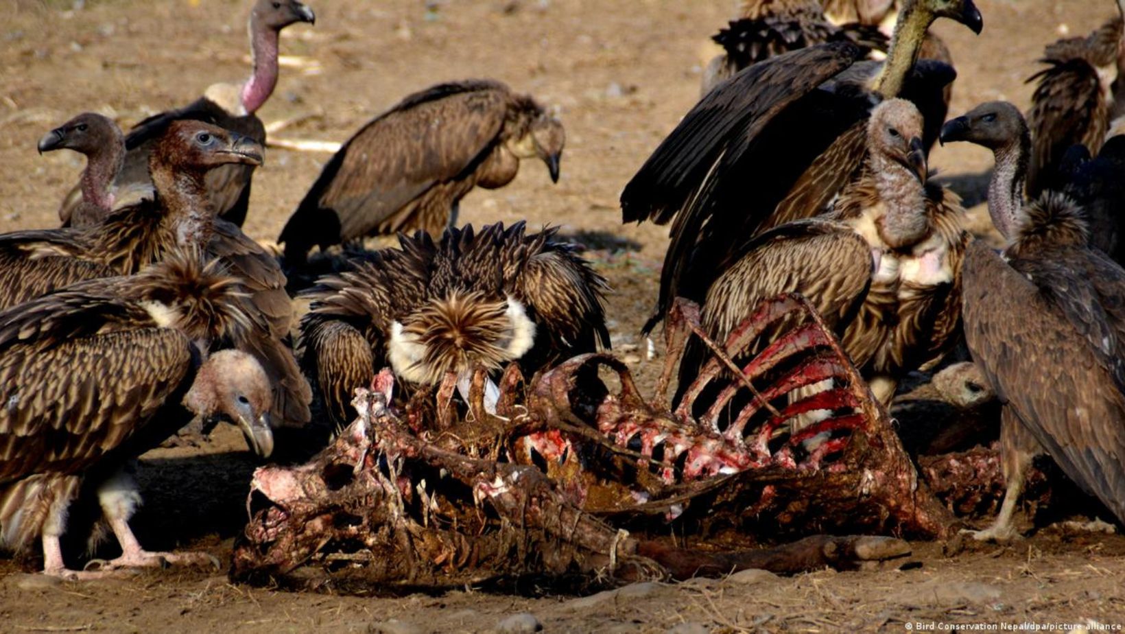 Tibetan Sky Burial Tradition