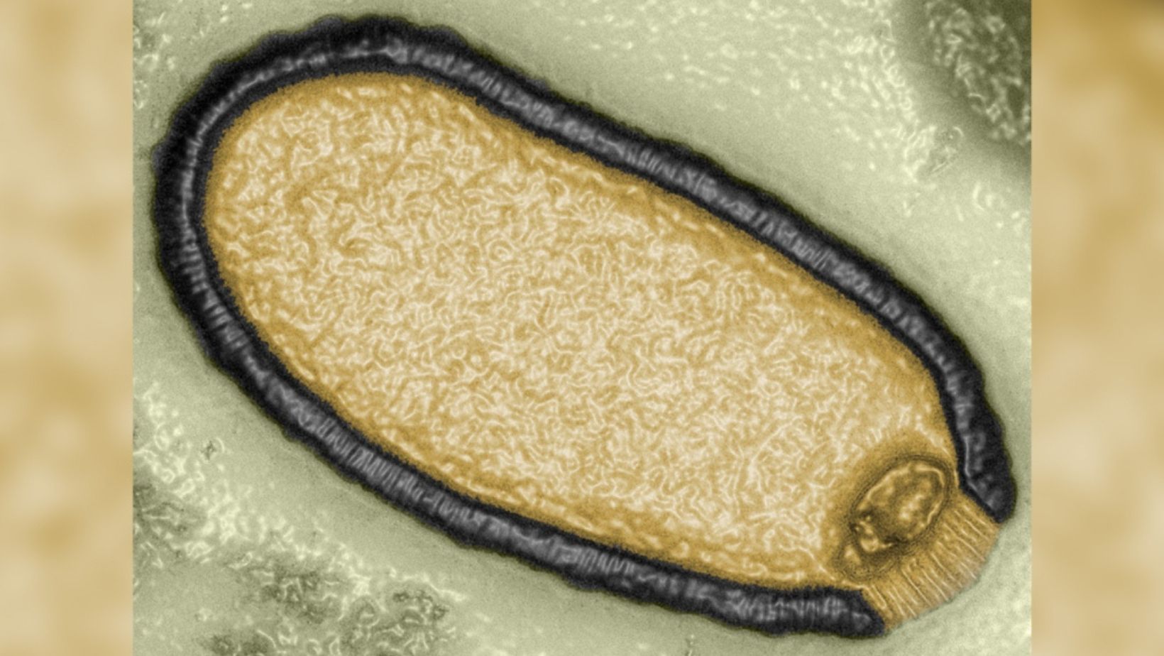 Revival of a 48,500-Year-Old Virus