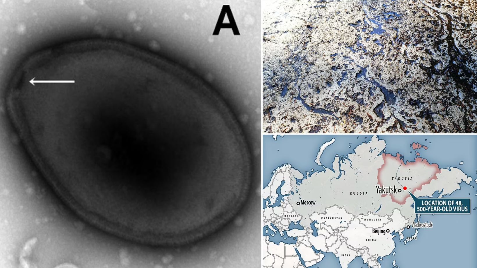 Revival of a 48,500-Year-Old Virus