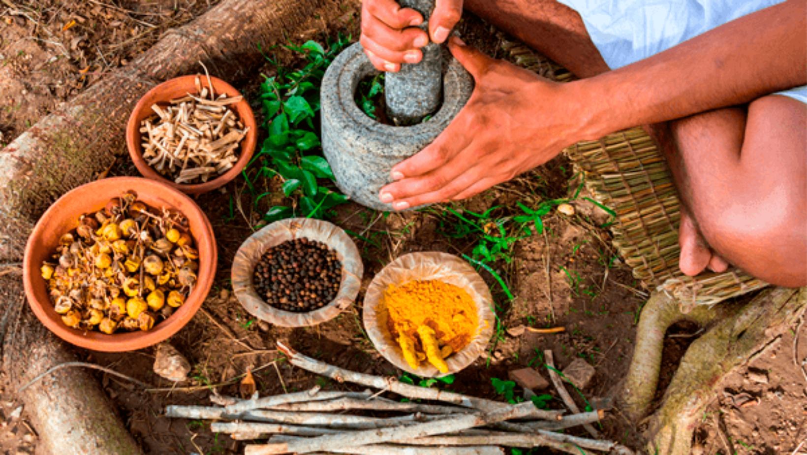 Mayan Healing Practices and Medicines