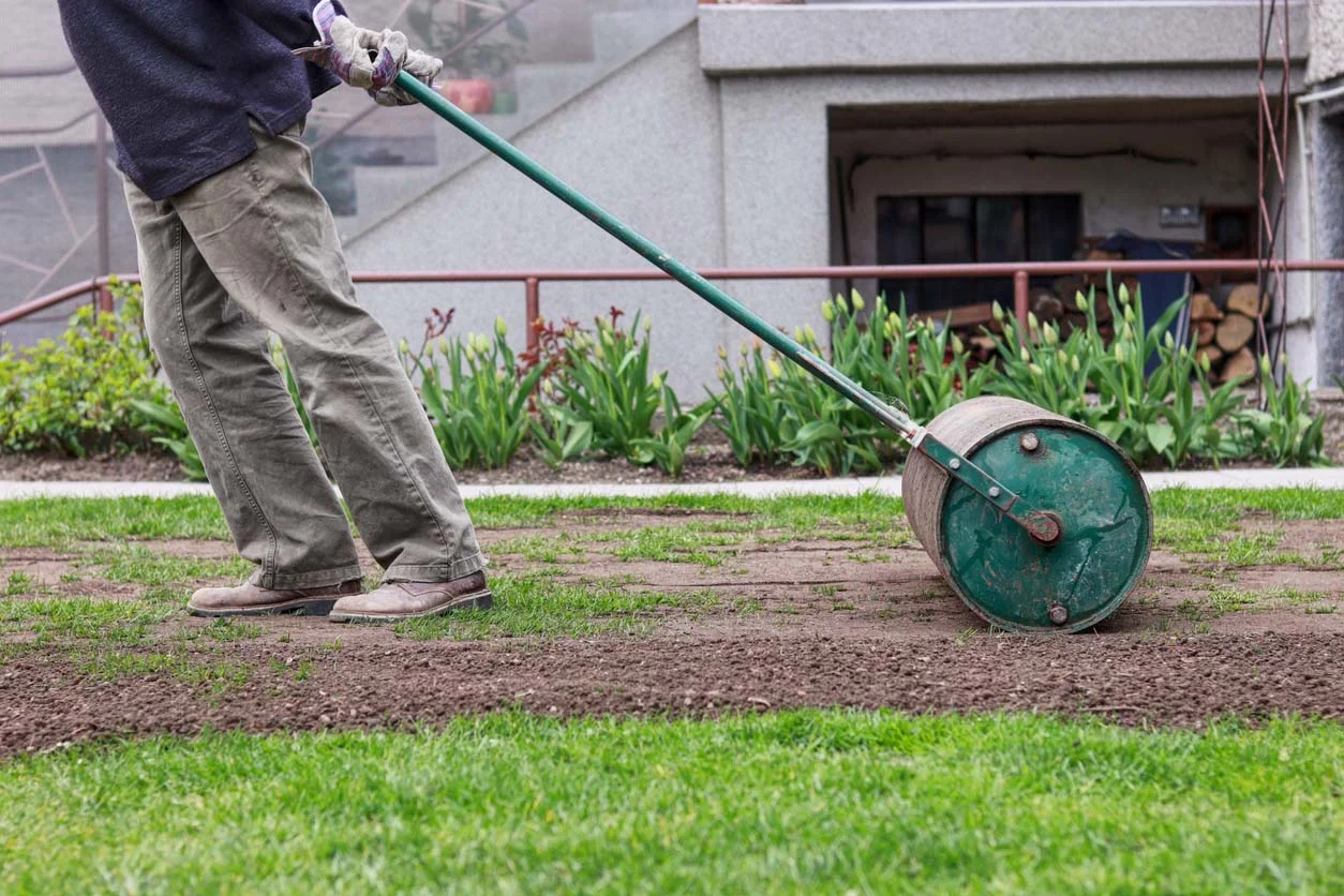 lawn roller