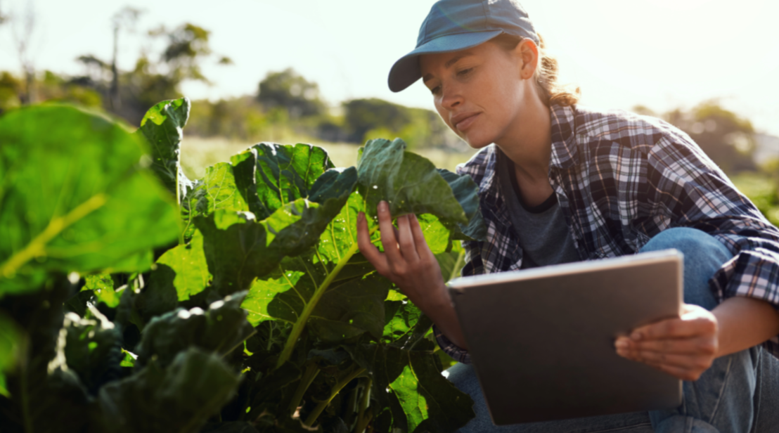 Agriculture 4.0: Precision Farming with CMMS and IoT