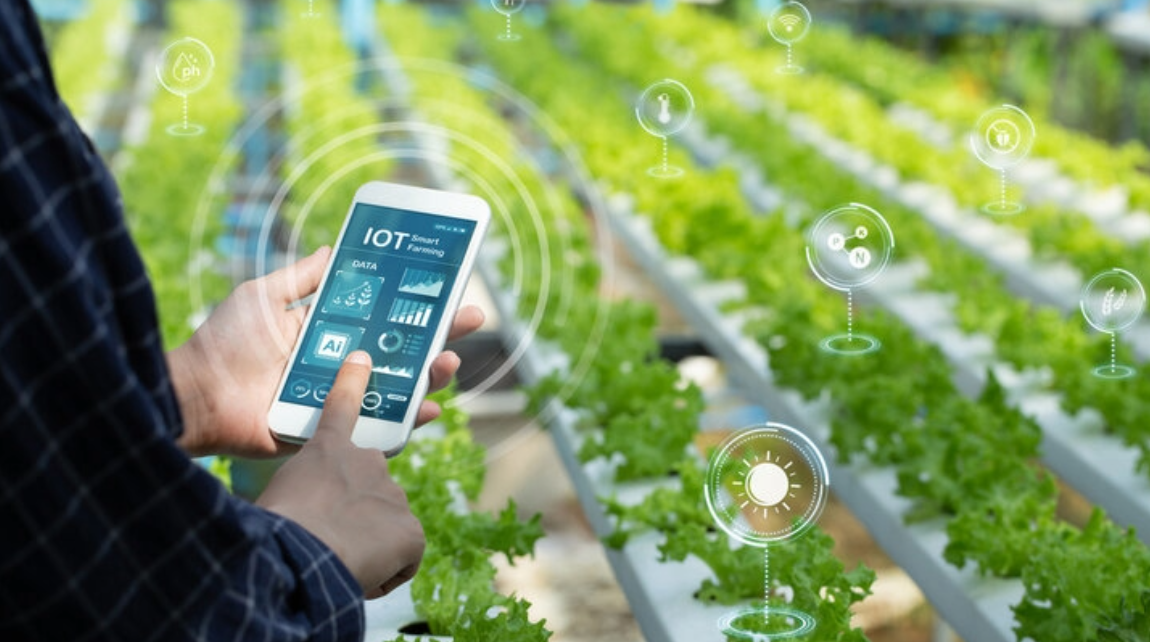 Agriculture 4.0: Precision Farming with CMMS and IoT
